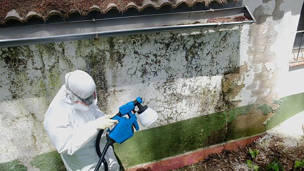 Top rated local Commercial Mold Remediation specialists in Cambridge, MD